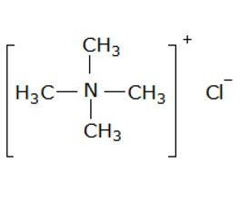 四甲基氯化銨，99%